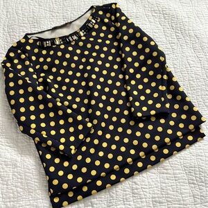 Zara Polka Dot Blouse
